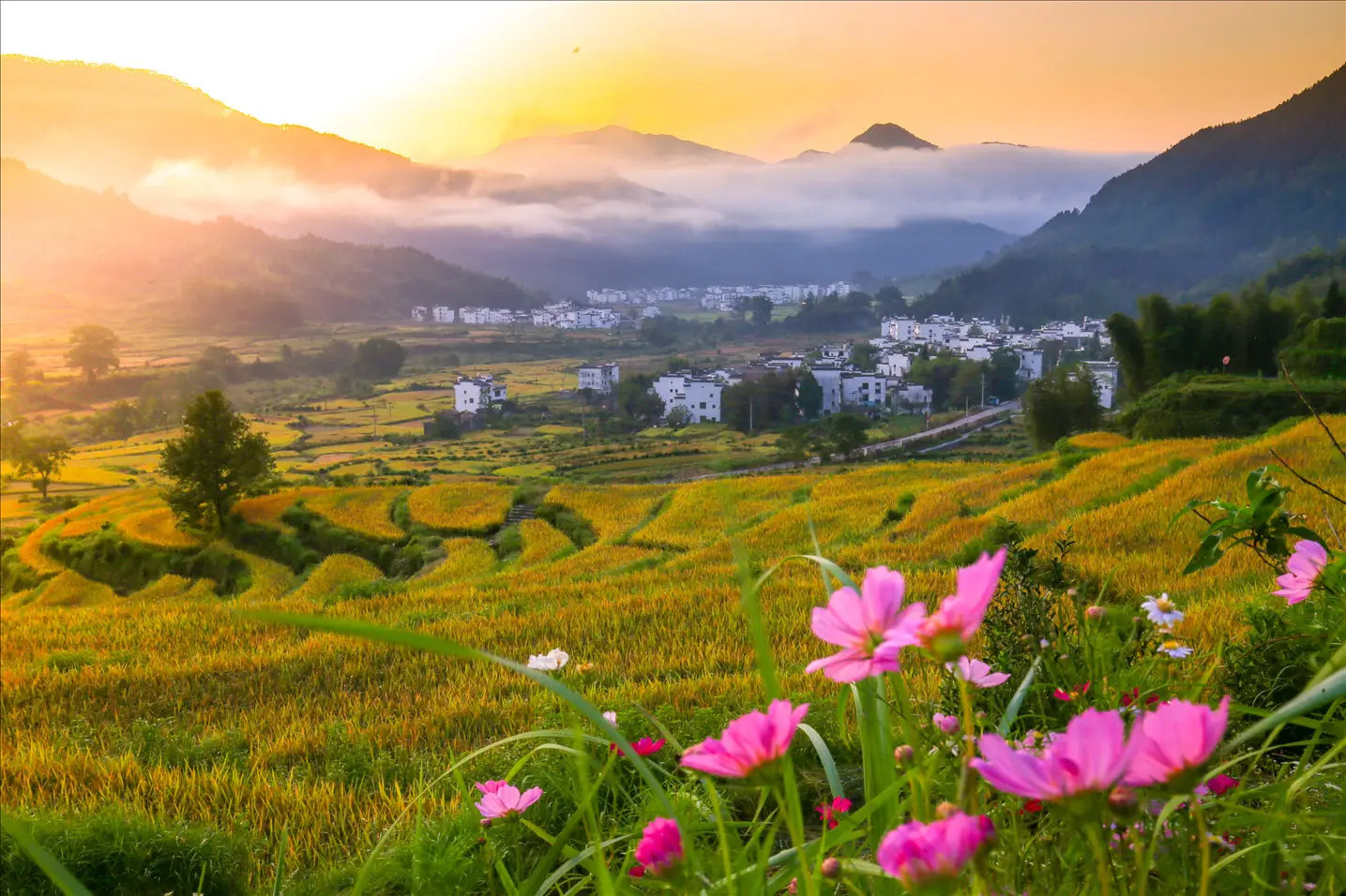 婺源三月底四月初旅行攻略_天气穿衣指南_婺源天气