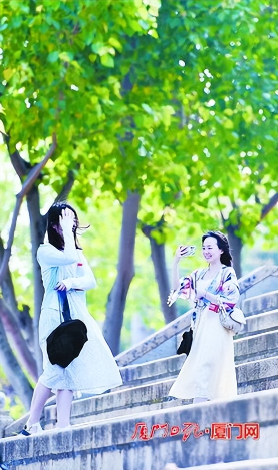 台风“尾巴”或扫到厦门 下周降雨又降温