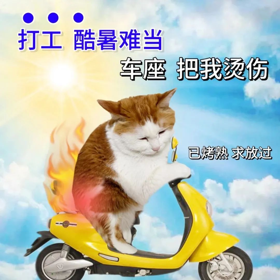 上海8月13日天气_上海未来十天天气预报_闵行天气预报