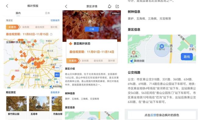 墨迹天气_全国赏枫地图_墨迹天气枫叶预报