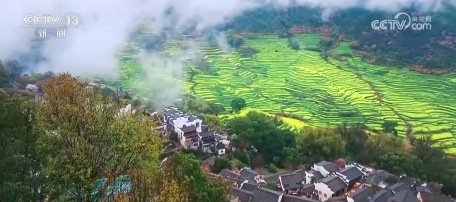 繁花次第开 南北各不同 跟着赏花地图解锁大美中国绝美春日画卷↓