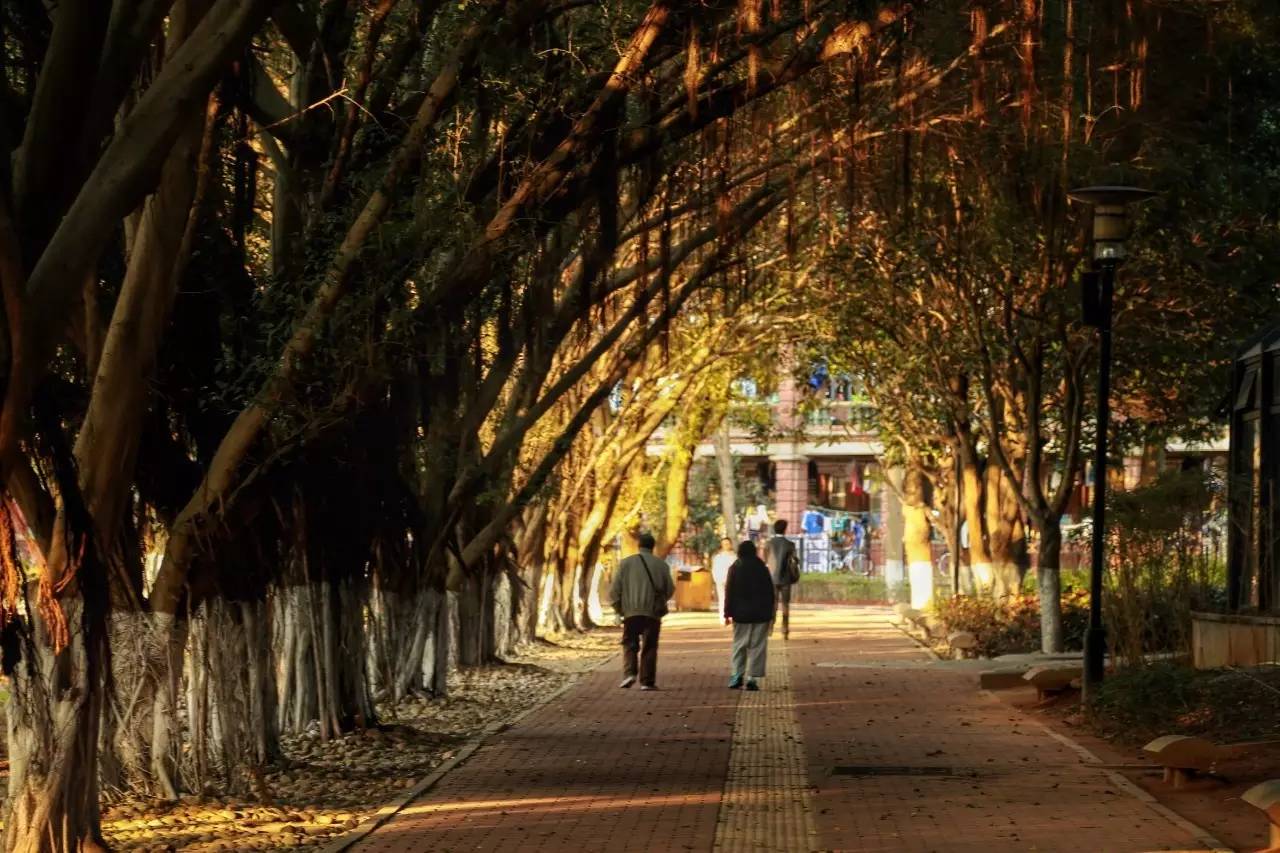 厦门回南天 晴天惊喜 厦门春天_厦门天气预报