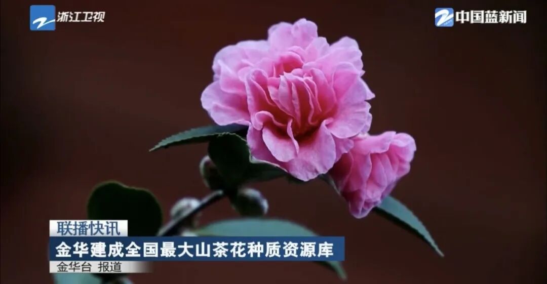 金华天气_金华制造转型新貌_金华企业广交会参展