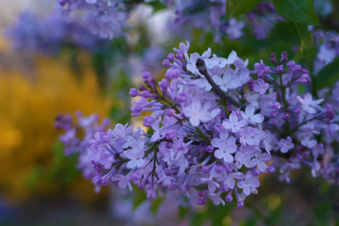 金华天气_金华企业广交会参展_金华制造转型新貌