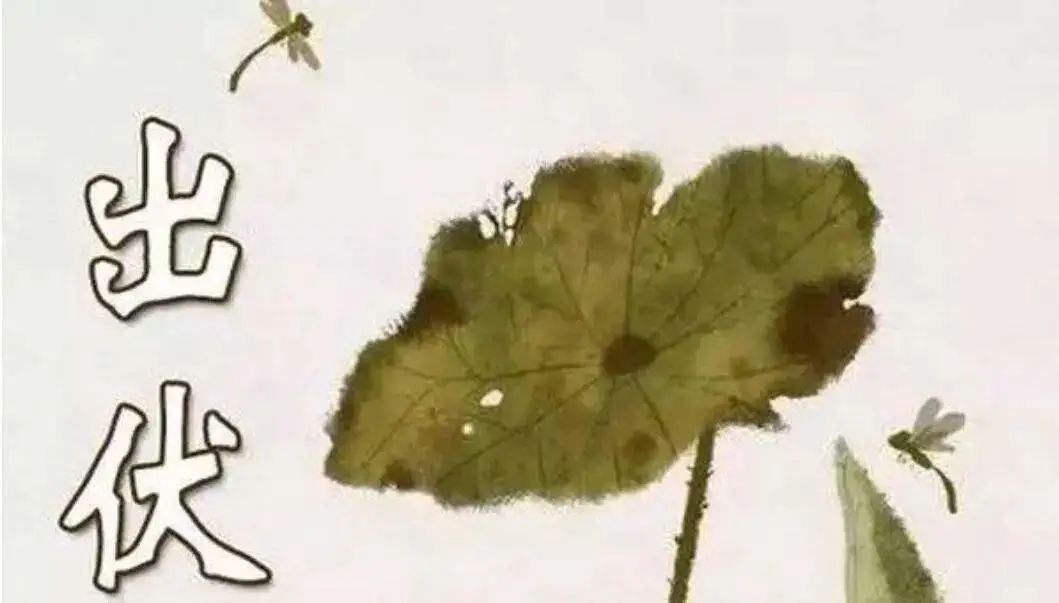 【廊廊报天气】今日“出伏”，有雨相伴