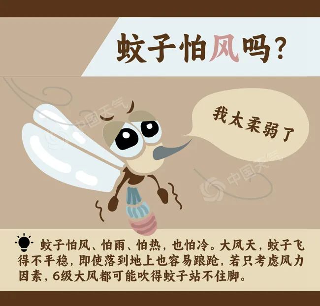 廊坊天气_廊坊市雨具随身指南_廊坊市出伏天气预报