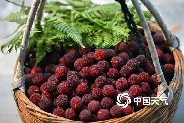 余姚天气_余姚四明山负氧离子浓度超清新空气旅游攻略_华东绿肺四明山清新空气避暑胜地