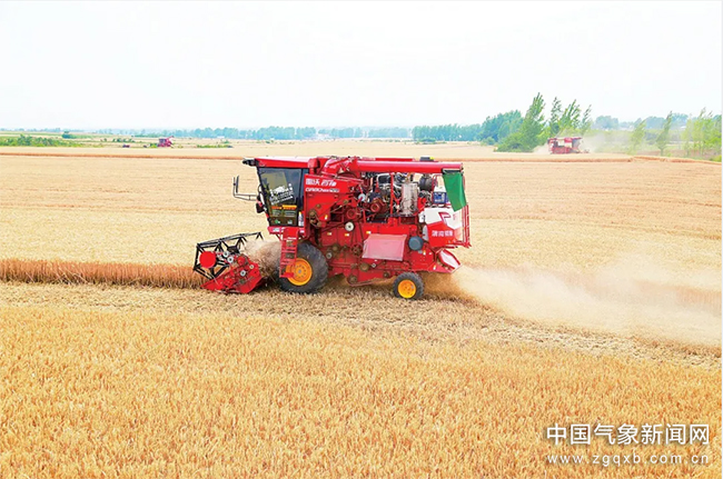 南阳麦收进行时——抢抓天时 保障颗粒归仓
