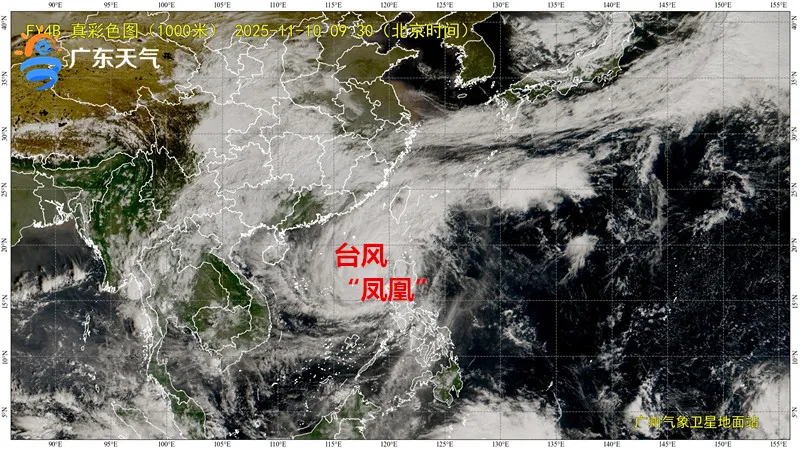 东莞天气预报_东莞天气预报 台风凤凰影响 未来天气趋势