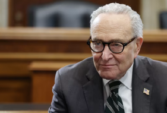 对民主党舒默的不满日益加剧,更换其职务的呼声四起