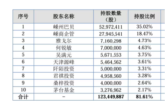 领带大王金耀十年押注：陌桑高科冲IPO，雅戈尔出资2亿、茅台1亿入股，家族控股56% | 长三角资本局