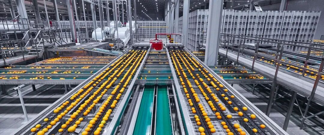 破解存量时代的内卷竞争，农夫山泉给出了正确答案