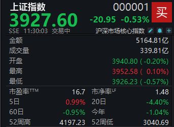 A股低开低走，沪指半日下跌0.53%