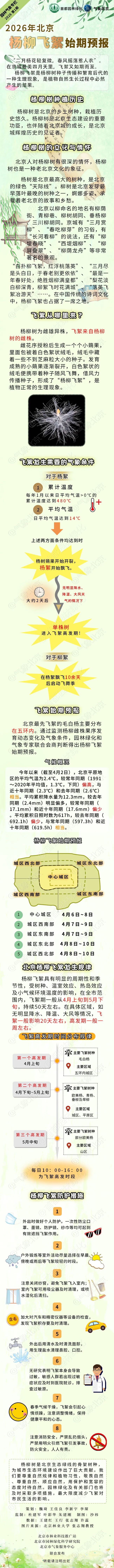 中心城区预计后天开始飞絮,北京发布今年首个杨柳飞絮预报